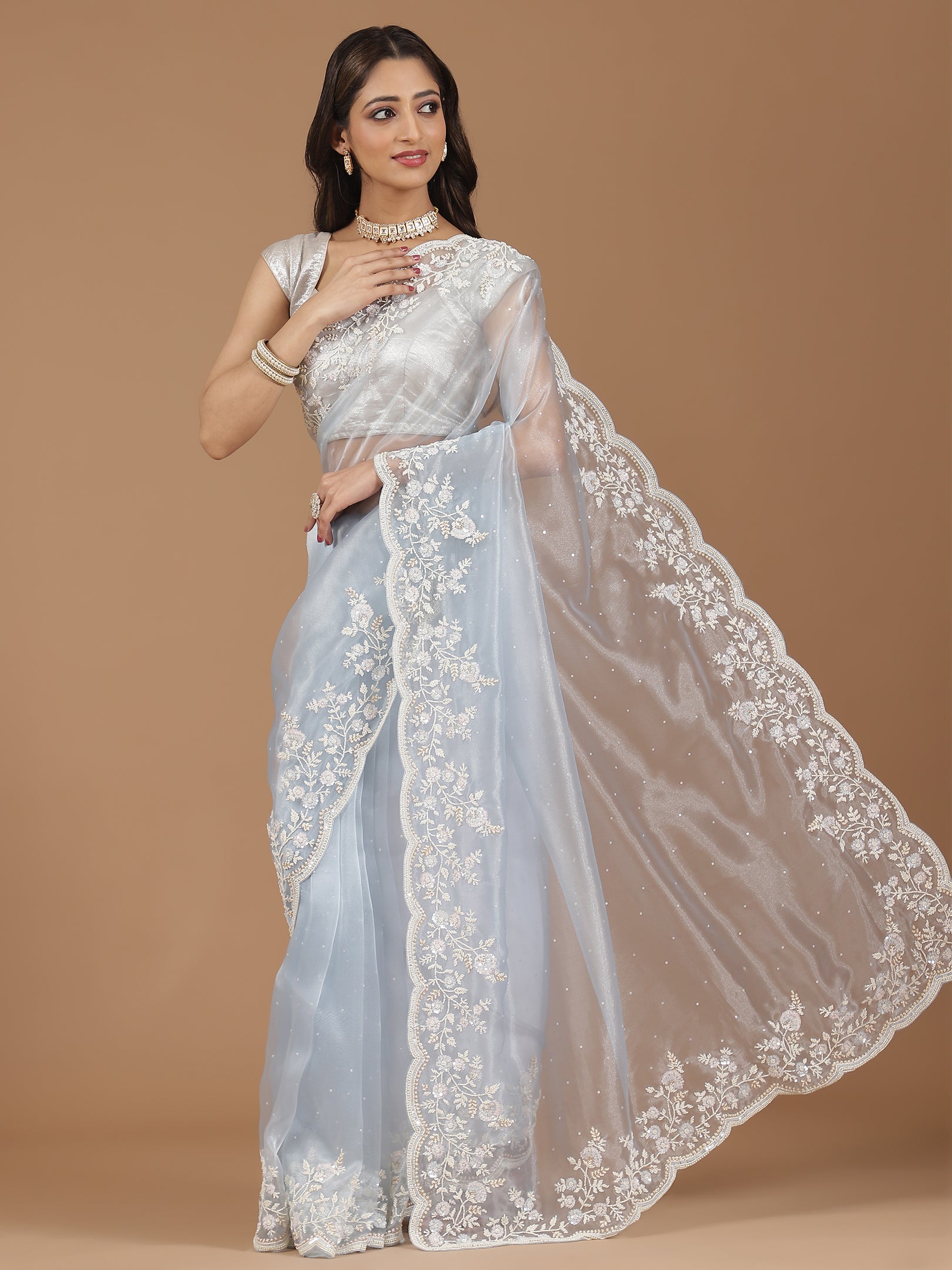 Embroidered Net Saree
