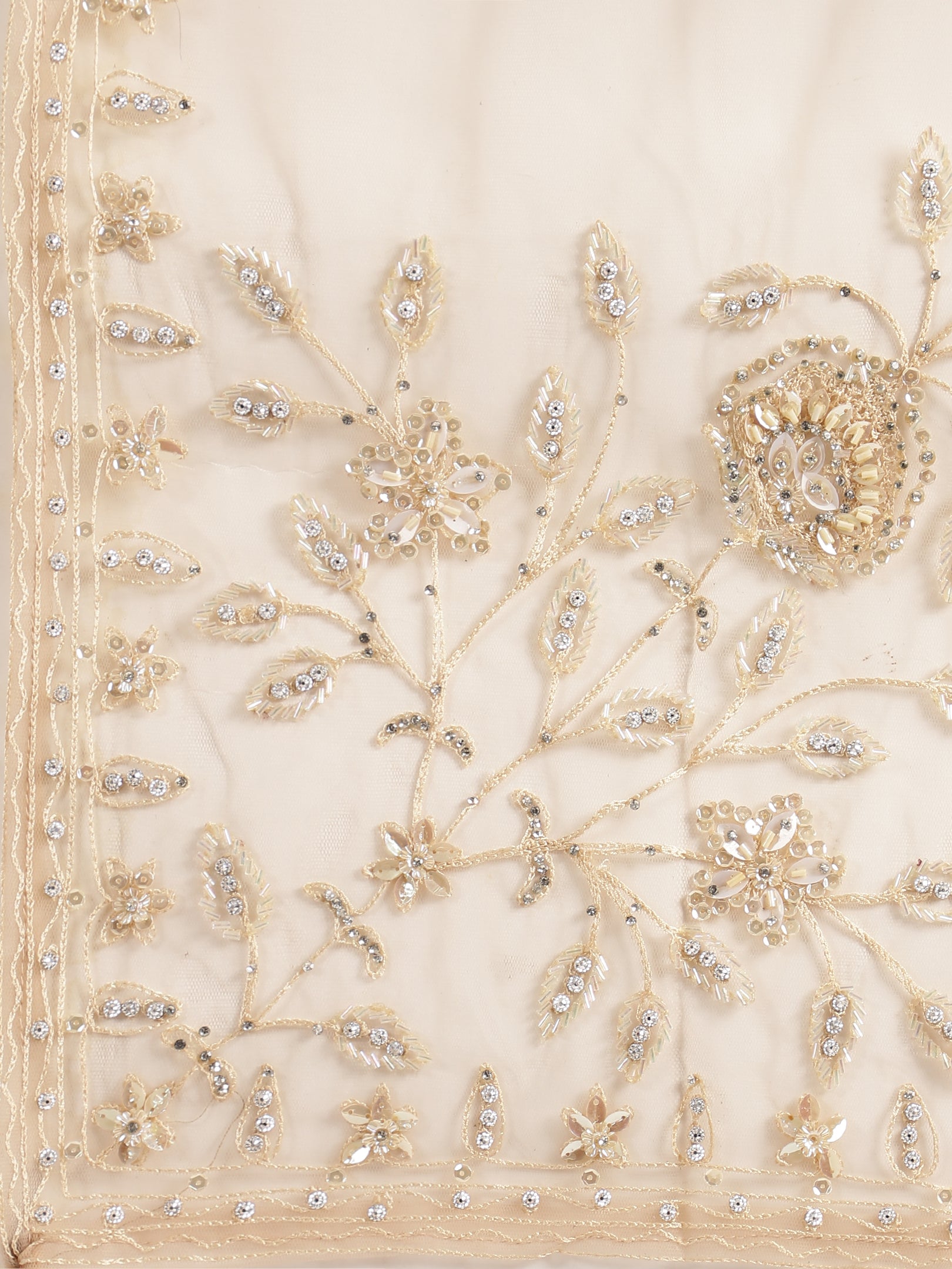 Ethereal Beige Embroidered Net Lehenga Set