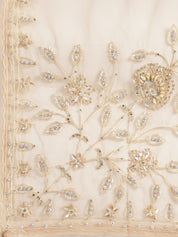 Ethereal Beige Embroidered Net Lehenga Set