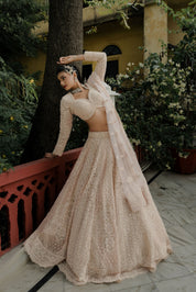 Regal Romance in Blush