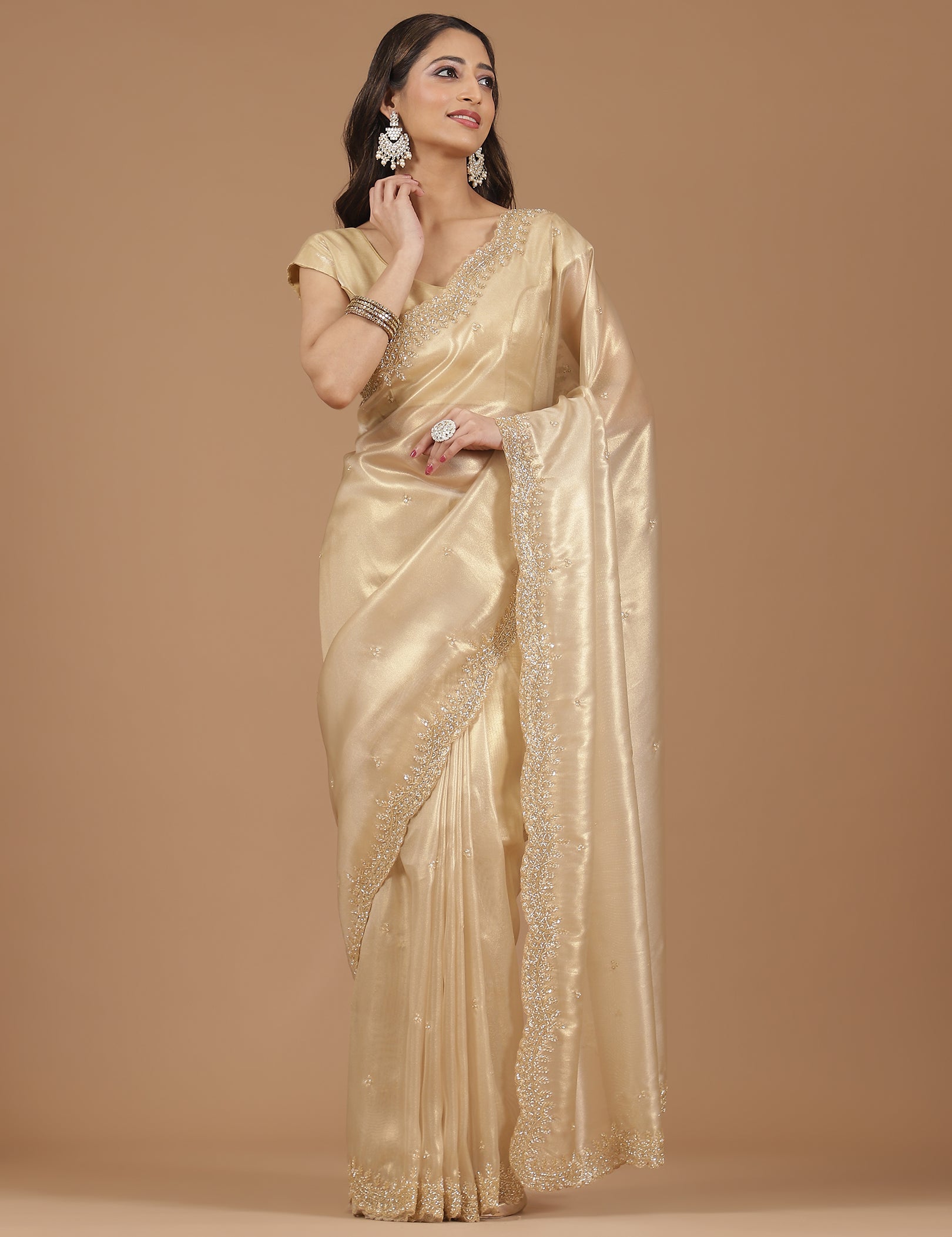 Pearl Embroidered Organza Saree