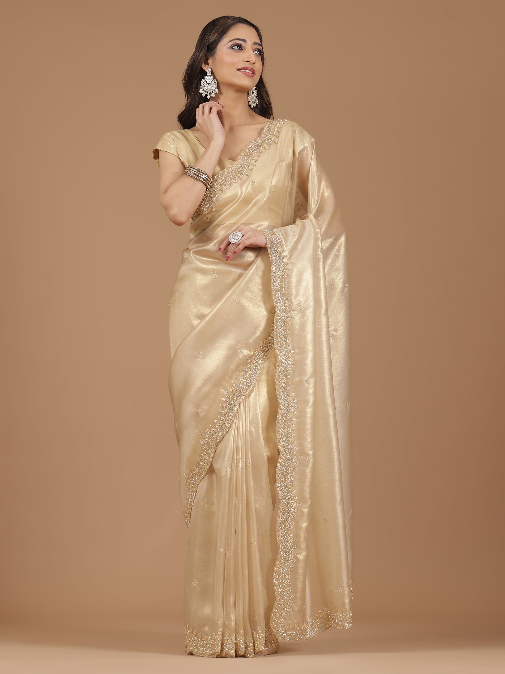 Pearl Embroidered Organza Saree