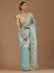 Pearl Embroidered Organza Saree