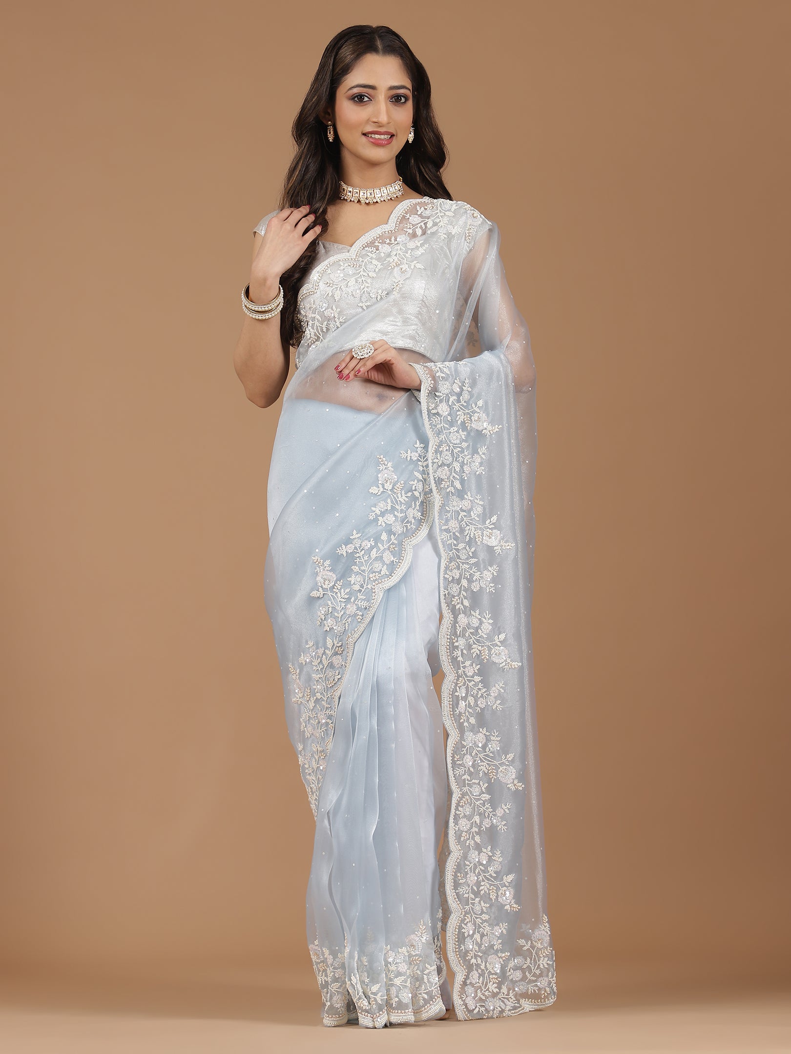 Serene Sky Blue Embroidered Net Saree with Contrasting Blouse