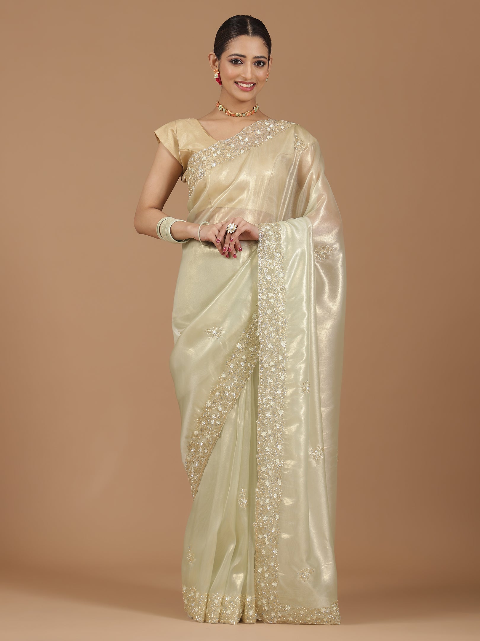 Organza Saree with Embroidered Border