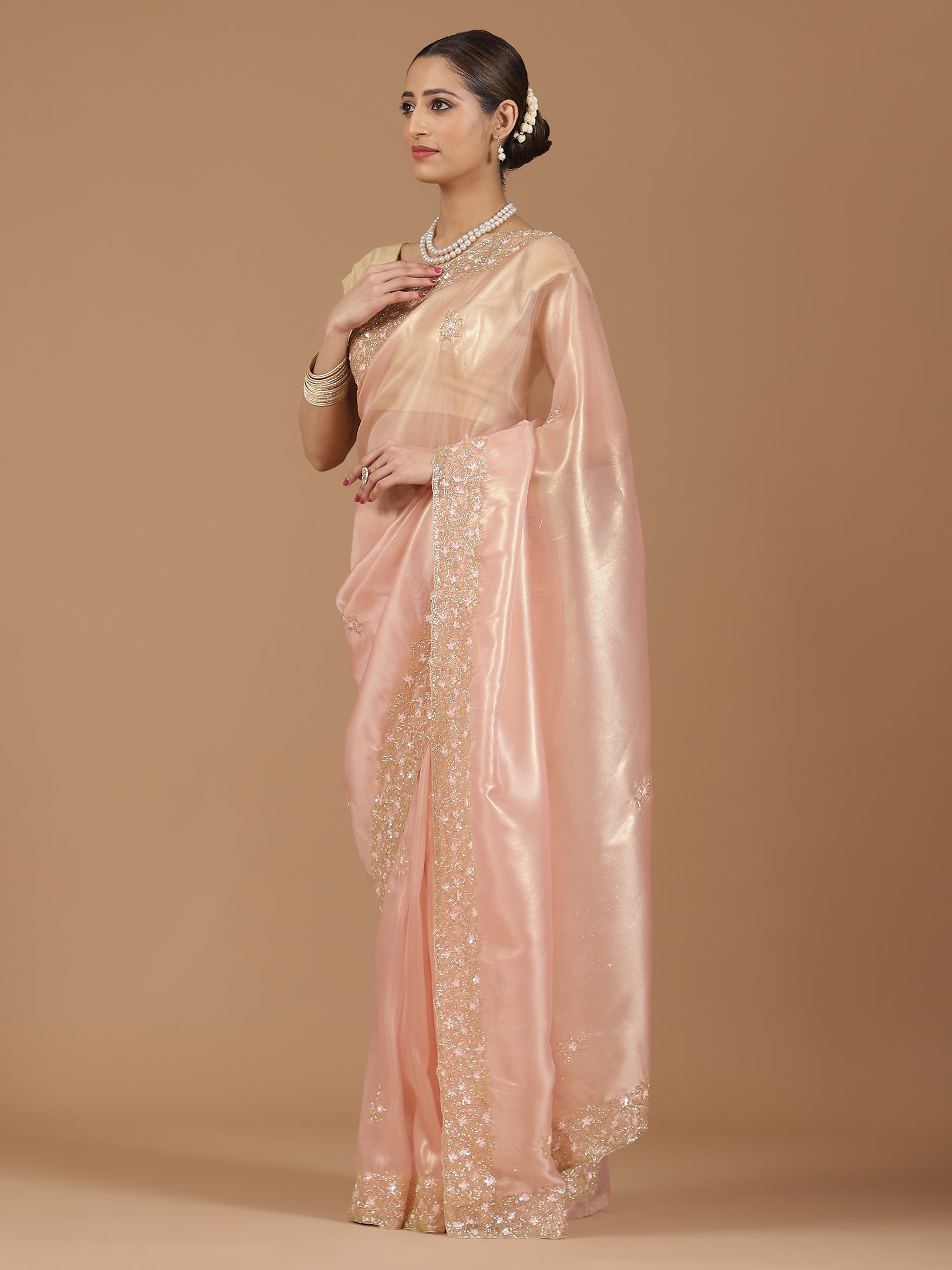 Organza Saree with Embroidered Border