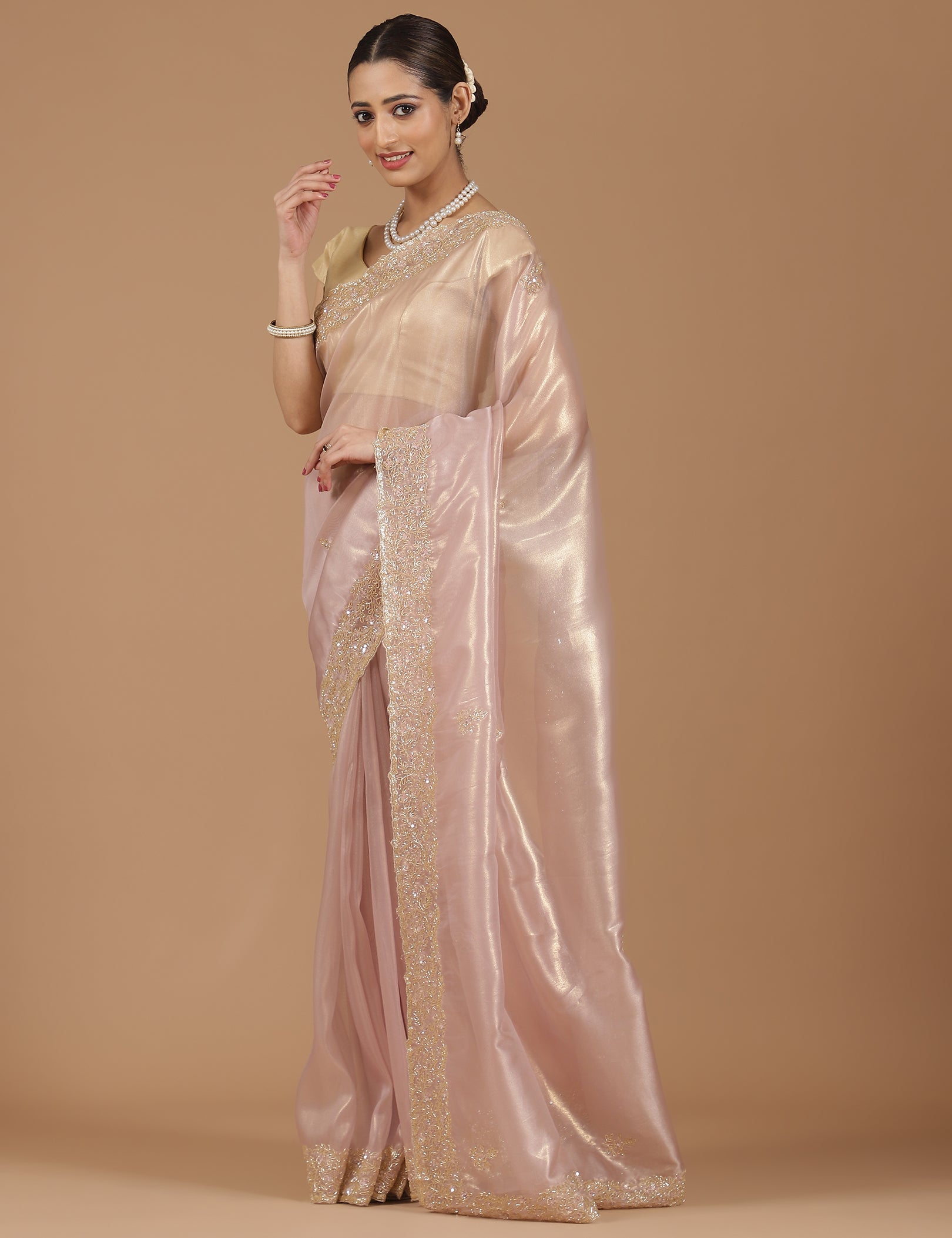 Organza Saree with Embroidered Border