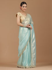 Pearl Embroidered Organza Saree