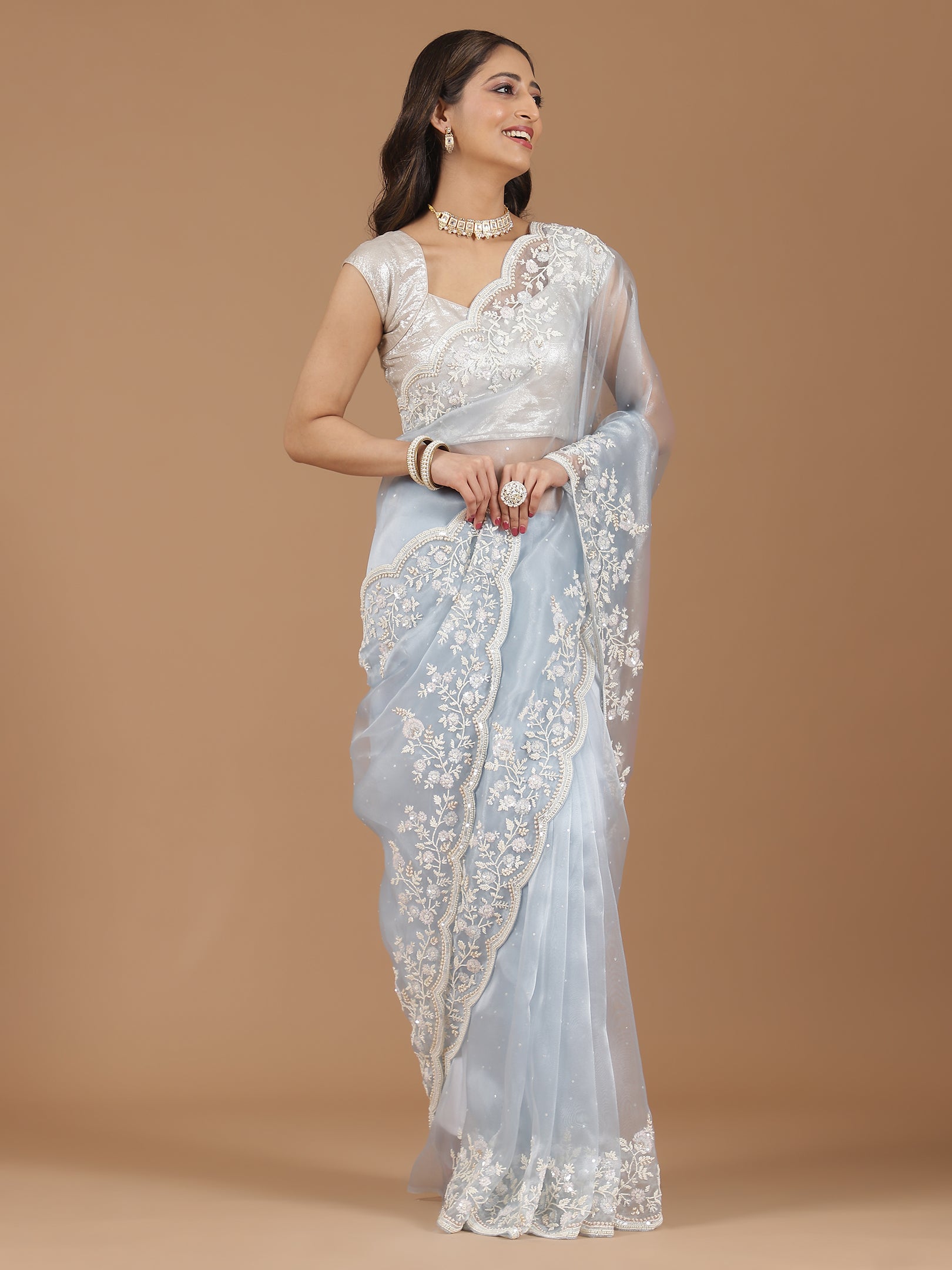 Serene Sky Blue Embroidered Net Saree with Contrasting Blouse