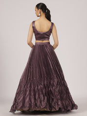 Plum Purple Organza Pleated Lehenga with Hand Embroidered Blouse