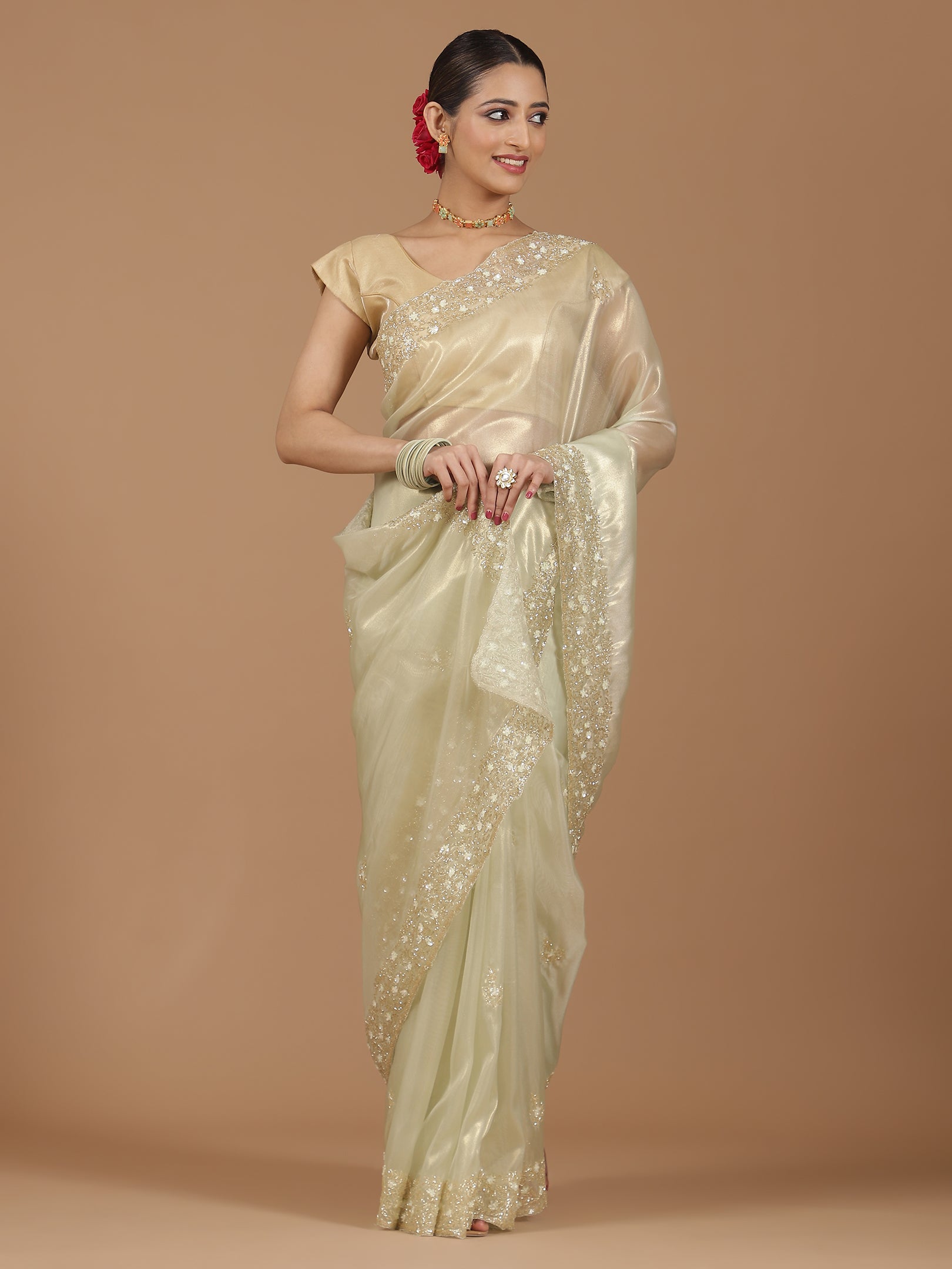 Organza Saree with Embroidered Border