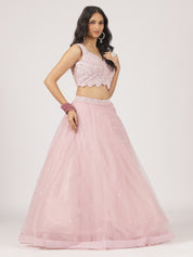 Blush Pink Net Lehenga with Sequin Embroidery & Designer Blouse