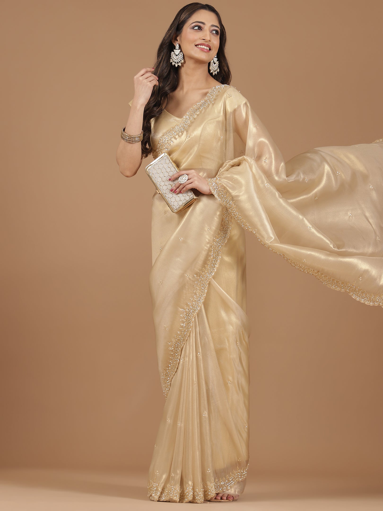 Pearl Embroidered Organza Saree