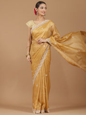 Tissue Silk Saree with Intricate Stonework Border