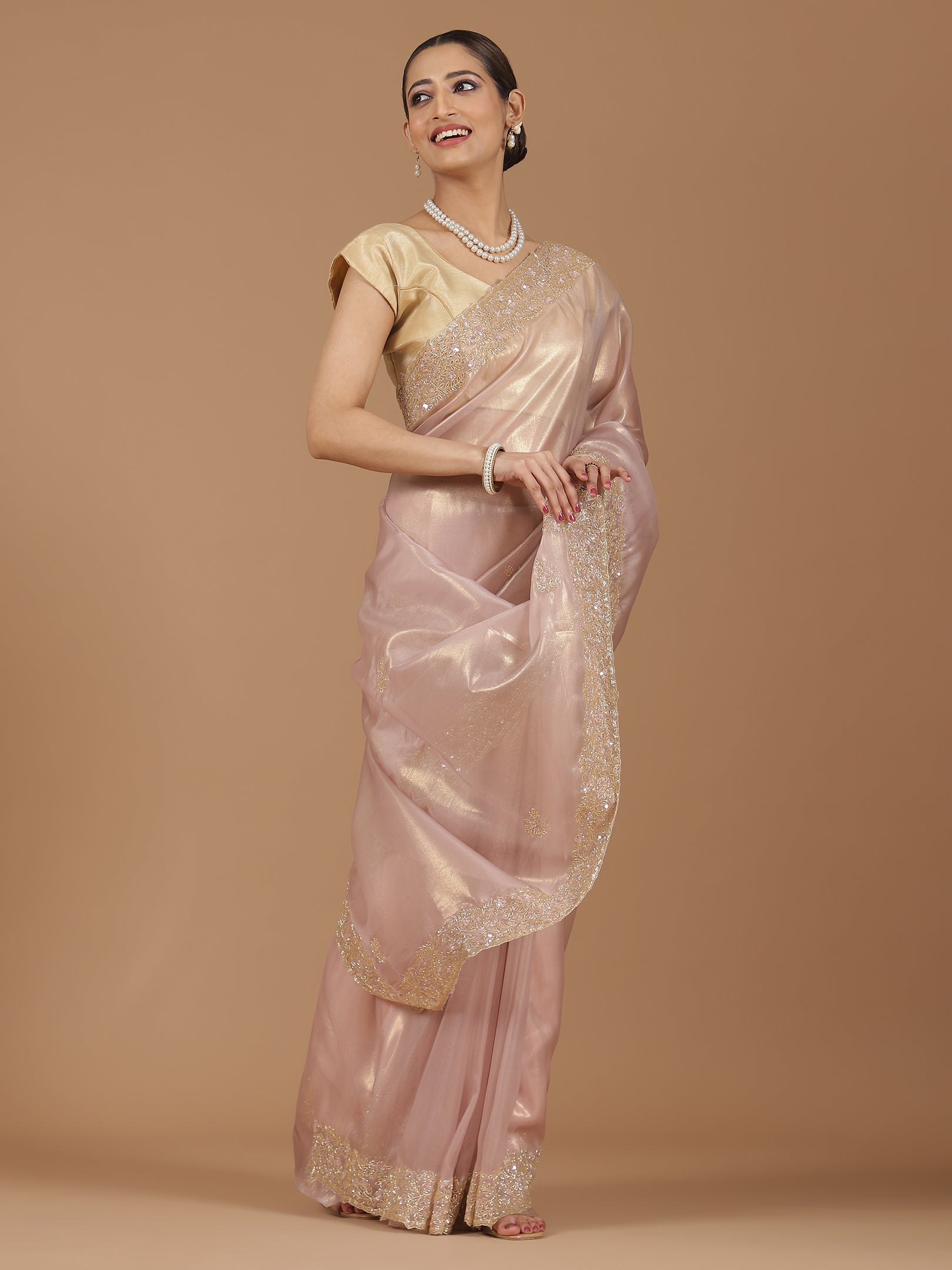 Organza Saree with Embroidered Border