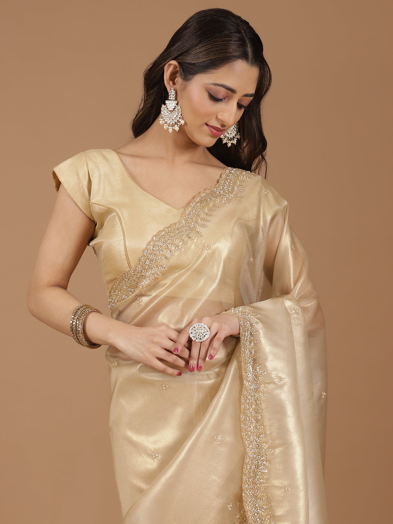 Pearl Embroidered Organza Saree