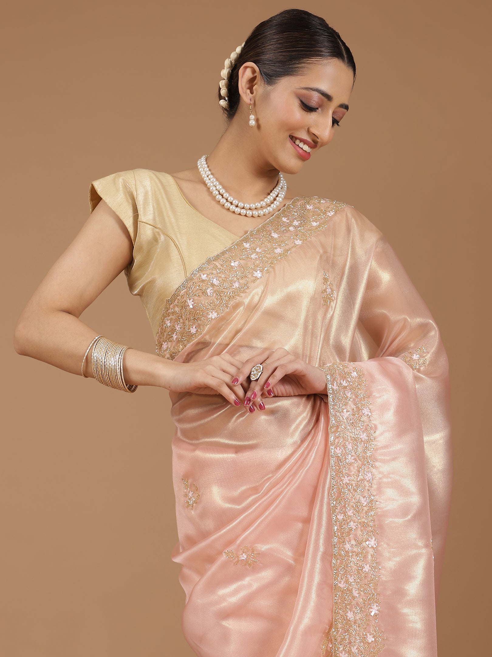 Organza Saree with Embroidered Border