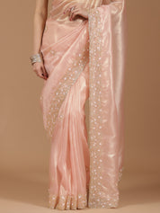 Organza Saree with Embroidered Border