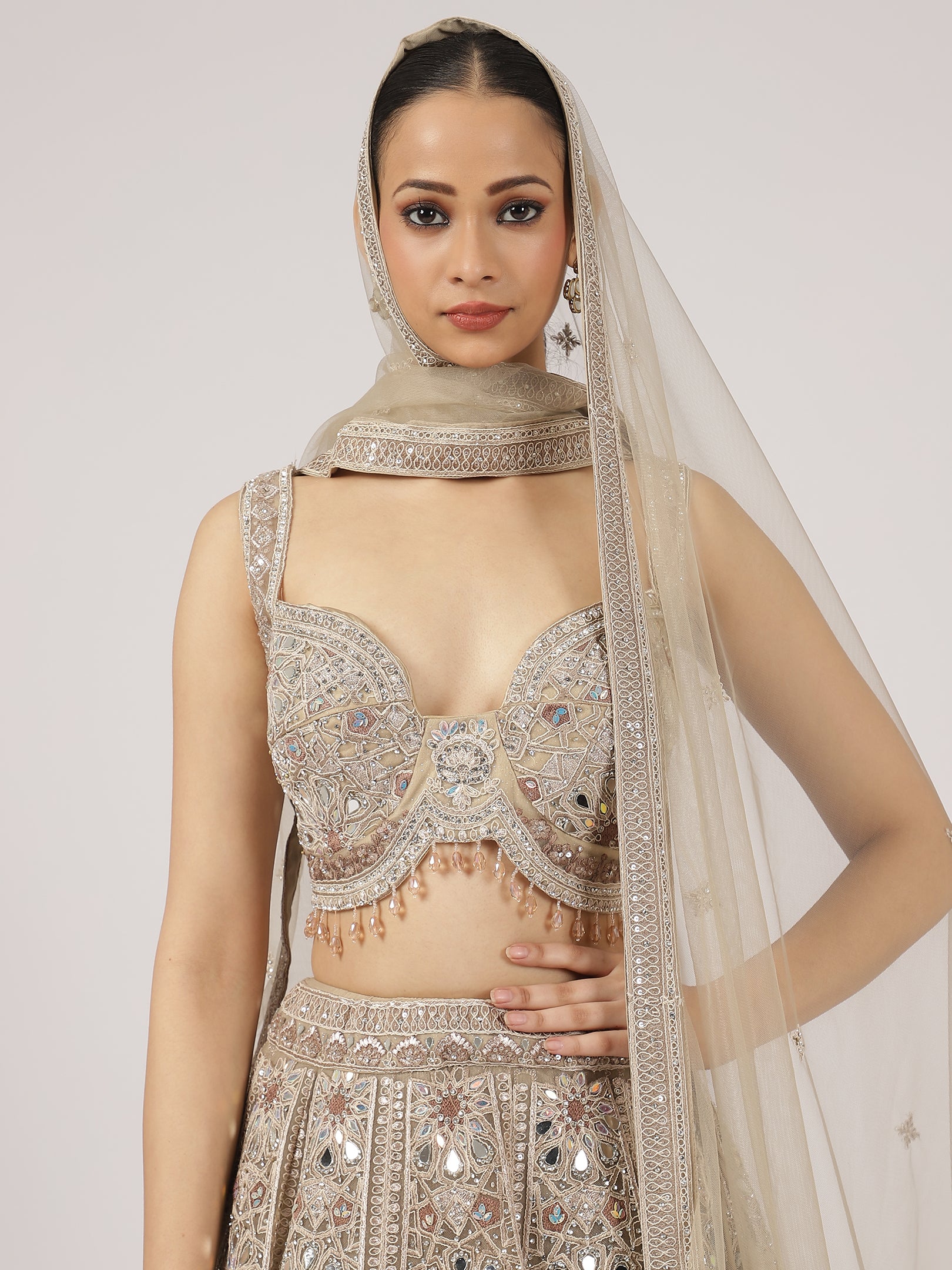 Elegant Beige Netted Lehenga with Intricate Mirror Work Blouse & Skirt