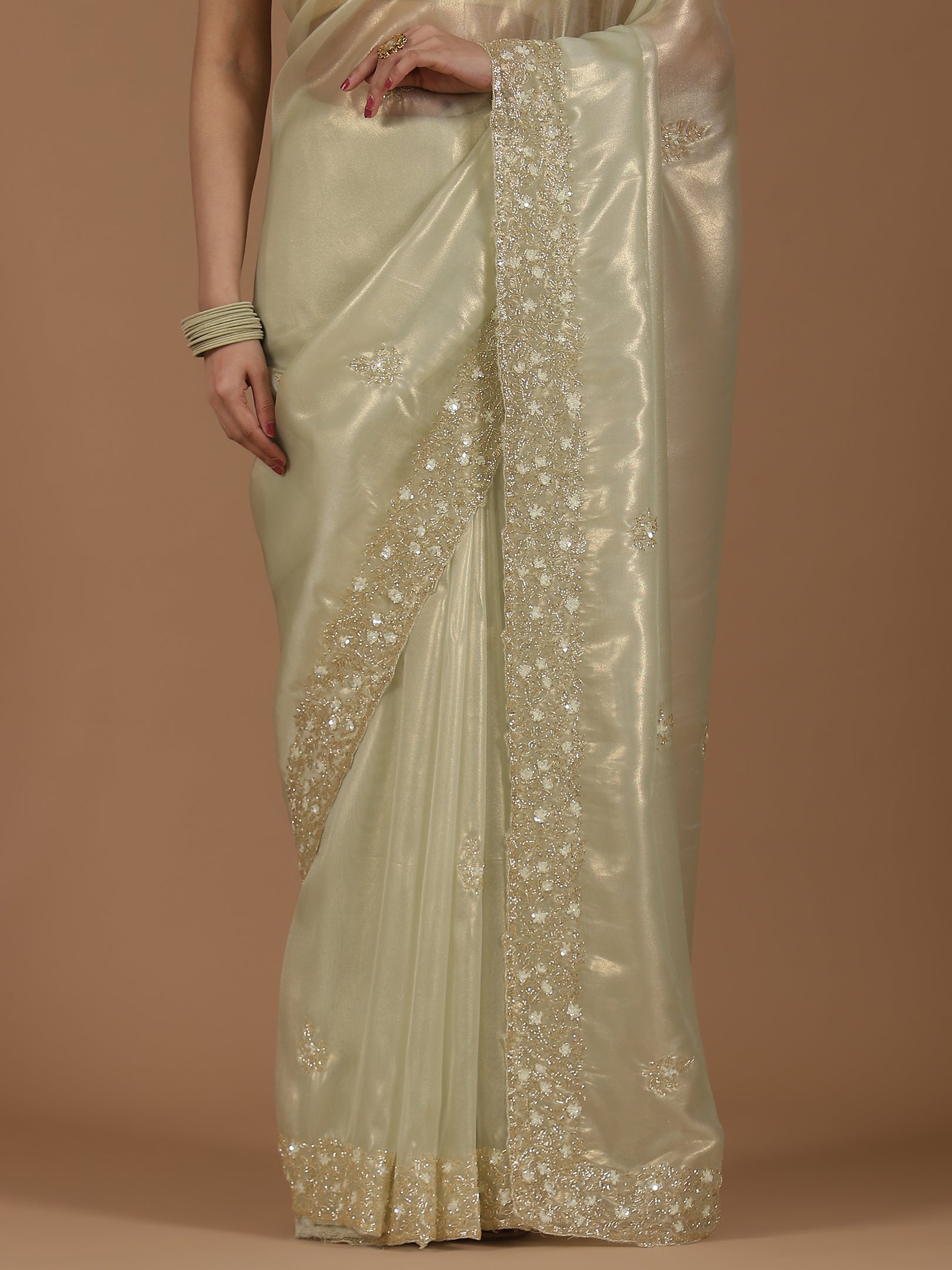 Organza Saree with Embroidered Border