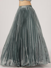 Elegant Grey Pleated Lehenga with Embroidered Blouse & Sheer Dupatta