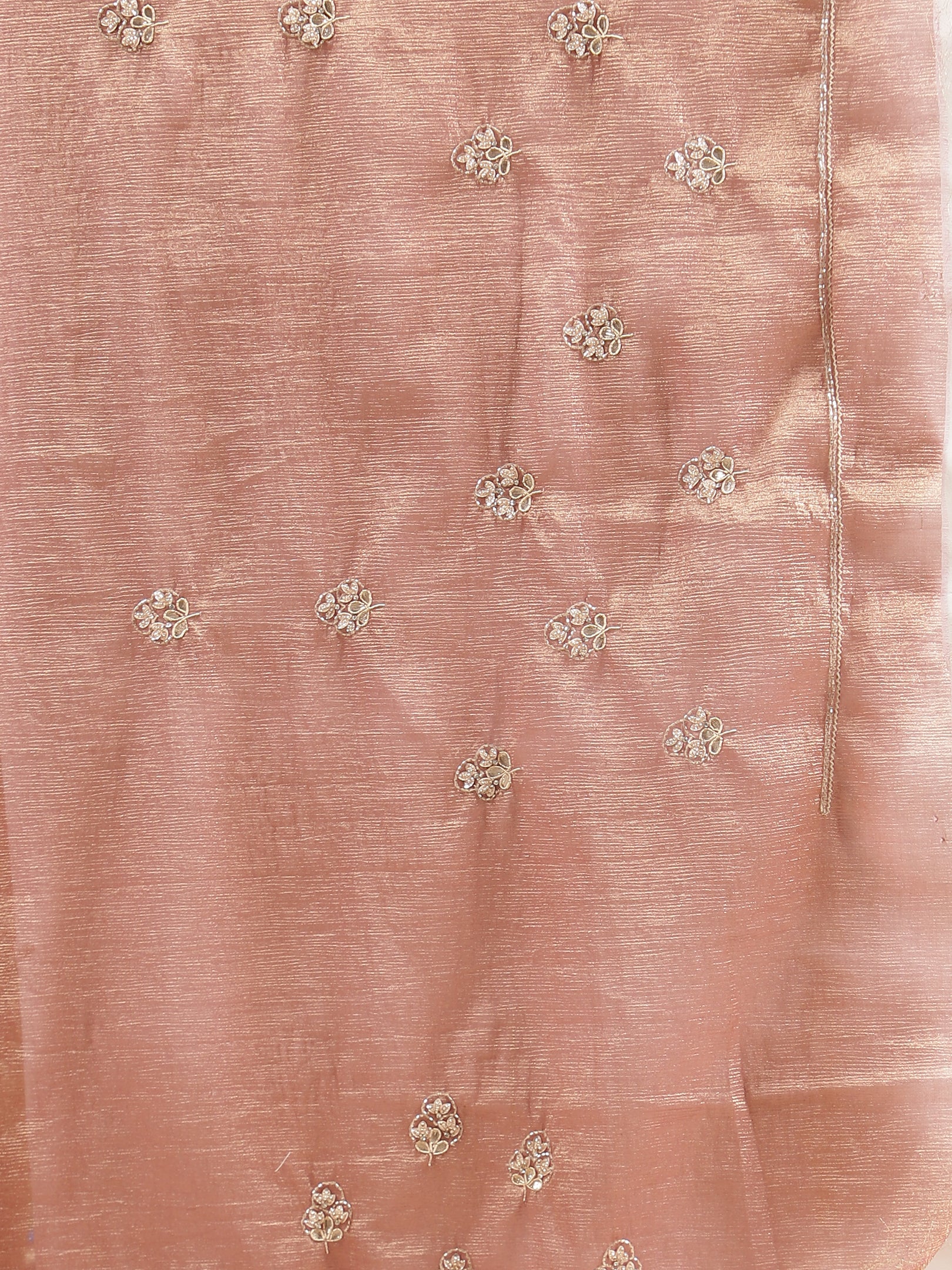 Tissue Silk Saree with Intricate Stonework Border