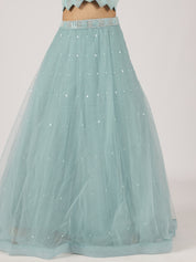 Aqua Blue Net Lehenga with Sequin Embroidery & Designer Blouse