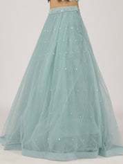 Aqua Blue Net Lehenga with Sequin Embroidery & Designer Blouse