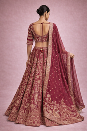 Diva Cherry Banarasi Traditional Silk Ensemble