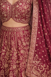 Diva Cherry Banarasi Traditional Silk Ensemble