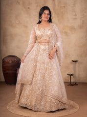 Full-length view of a cream net lehenga with a sheer dupatta draped over the shoulder and an embroidered border
