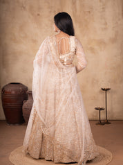 Back view of a cream net lehenga showing the tie-back blouse and sheer embroidered dupatta