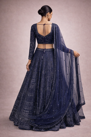 Navy Blue Hand-Woven Luxury Silk Lehenga | DIVA
