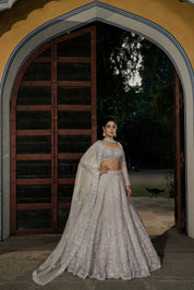 Celestial Dreams: Silver Lilac Embroidered Twirl Lehenga Set