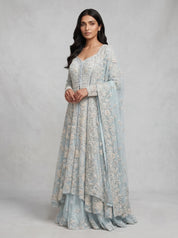 Powder Blue Embroidered Net Gown with Full Sleeves DIVA