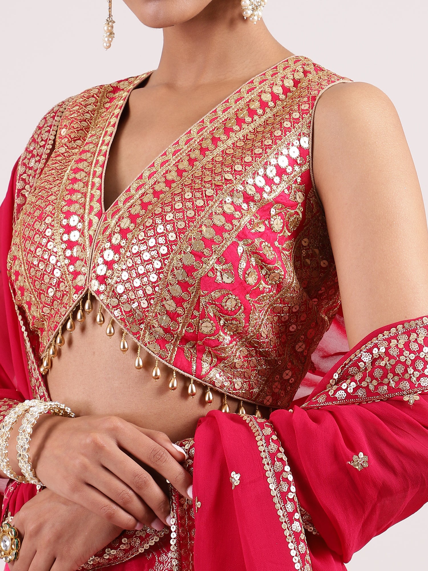 Hot Pink Banarasi Lehenga with Brocade Sequence Blouse