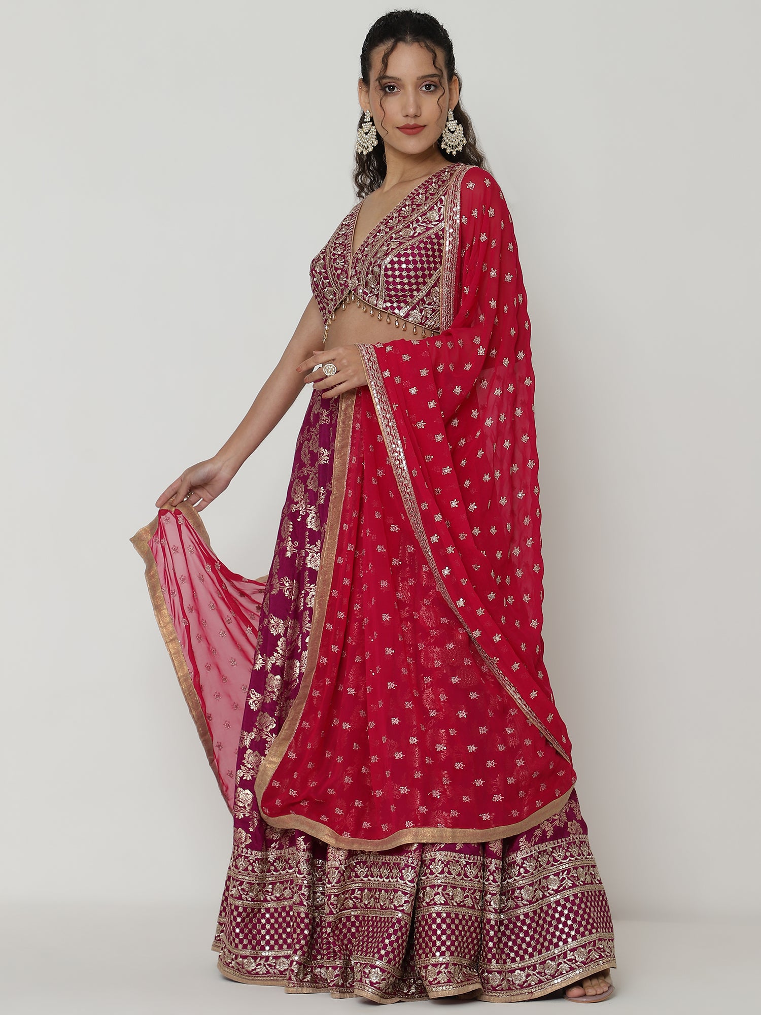 Maroon Banarasi Lehenga with Brocade Sequence Blouse