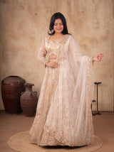 Net Lehenga Set in Cream with Dupatta and Stitched Blouse